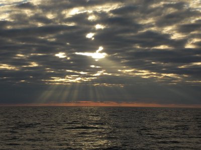 DSCN3233a (640x480).jpg