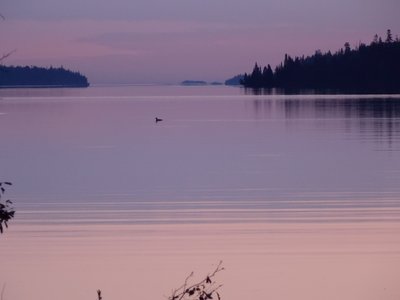 DSCN3645 (800x600).jpg