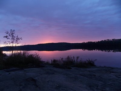 DSCN3646 (800x600).jpg